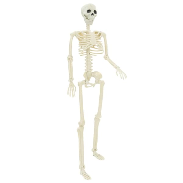 Halloween skelett 2 pcs Vit 85 cm PVC