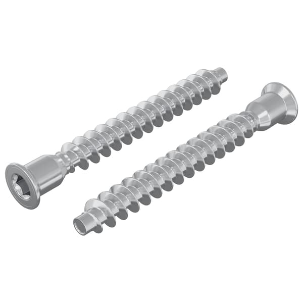 Konfirmationsskruvar 2 pcs Silver Ø7 x 58 mm Metall