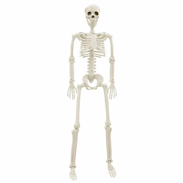 Halloween skelett 2 pcs Vit 85 cm PVC