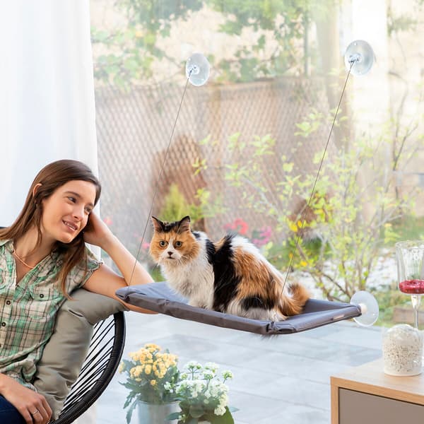 Hängmatta för katt Catlax InnovaGoods