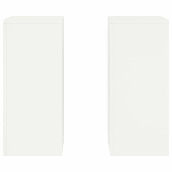Växtställ 2 pcs Vit 24 x 24 x 55 cm Stål