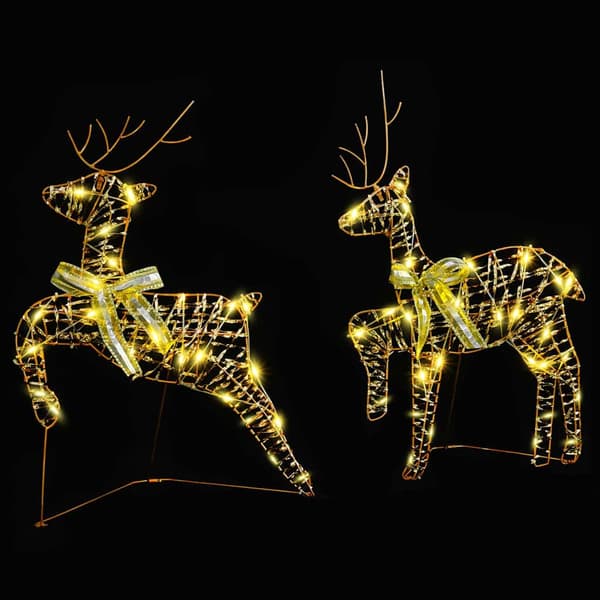 LED Renar med 40 LED-lampor 2 pcs Varmvit PET