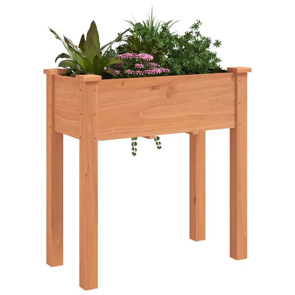 Odlingslåda med foder brun 71x37x76 cm massivt granträ