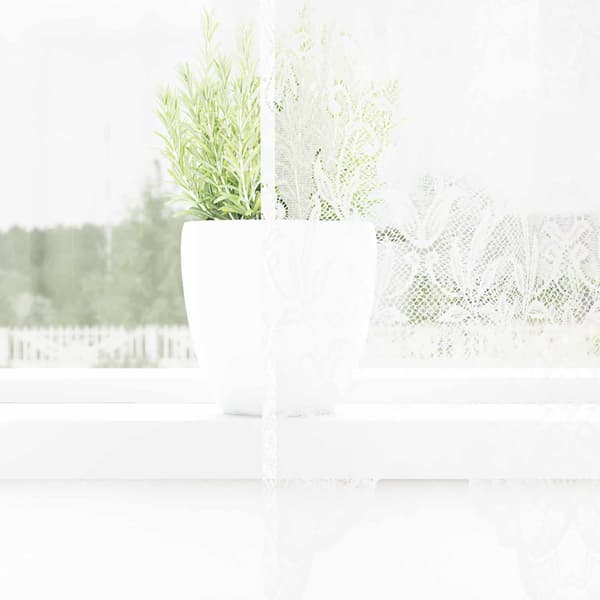 Spetsgardin Vit 260 x 300 cm Polyester