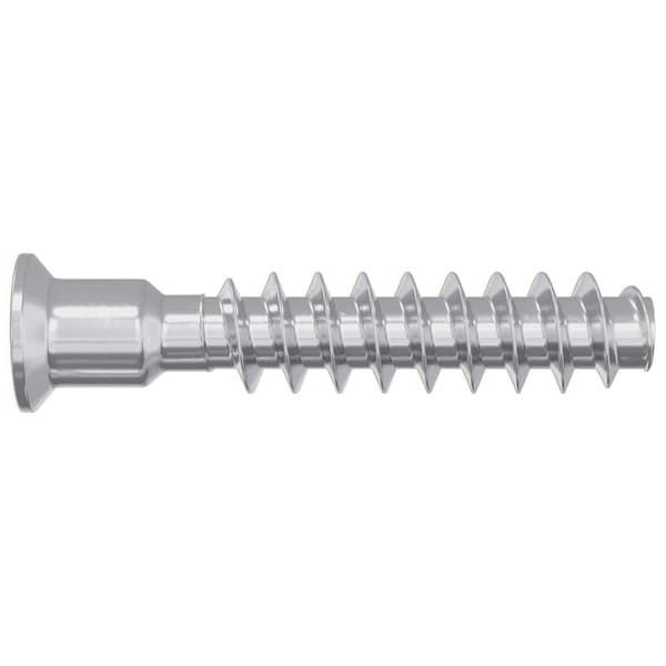 Huvudkapskruv 2900 pcs Silver Stål