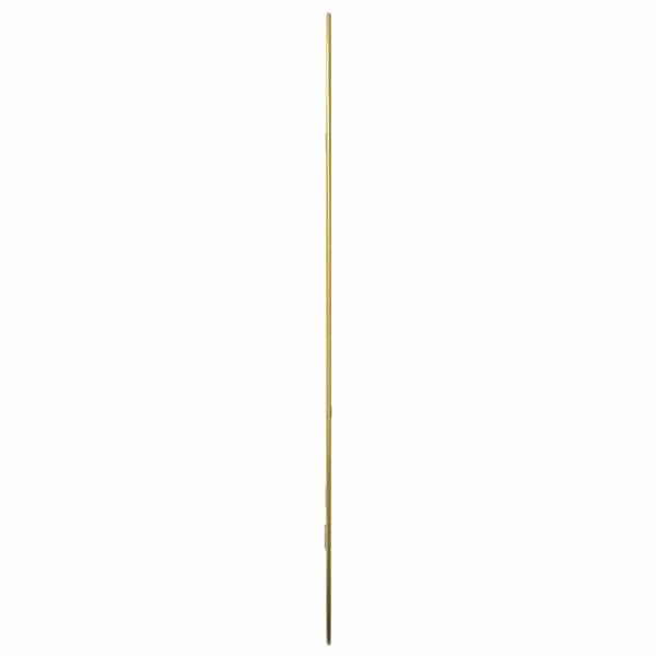 Väggspegel guld 70x45 cm