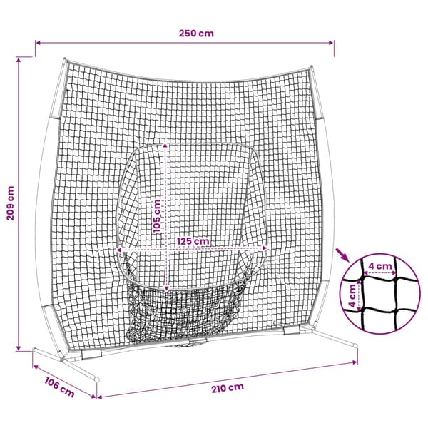 Basebollnät för träning Svart 250 x 106 x 209 cm Polyester