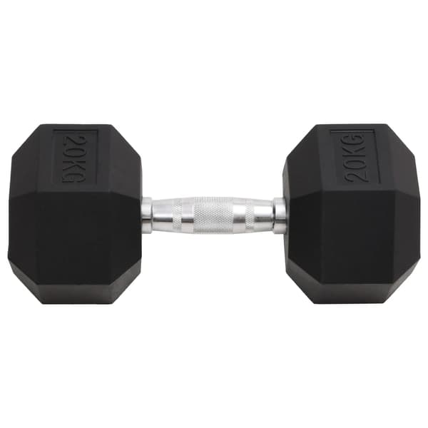 Hantel 20 kg gjutjärn