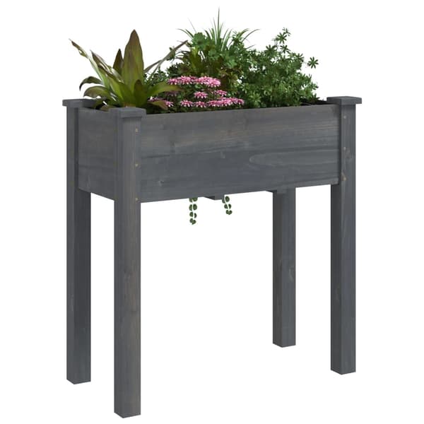 Odlingslåda med foder grå 71x37x76 cm massivt granträ