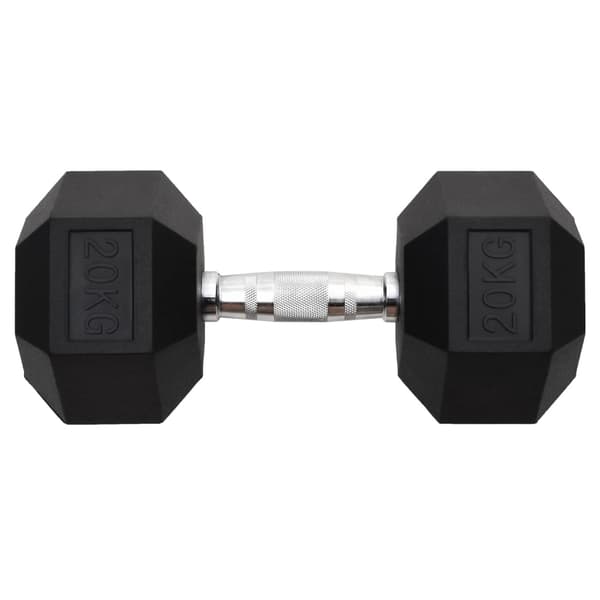 Hantel 20 kg gjutjärn