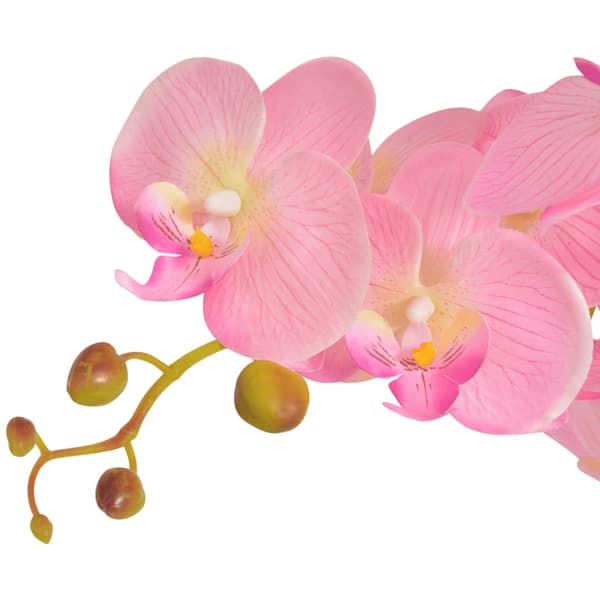 Konstväxt Orkidé med kruka 65 cm rosa