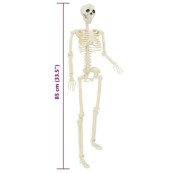 Halloween skelett 2 pcs Vit 85 cm PVC