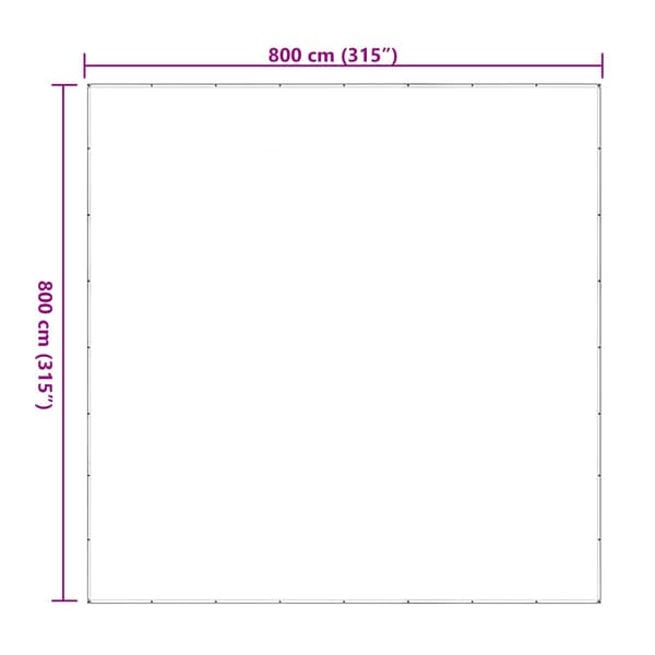 Växtskydd Transparent 8 x 8 m PE