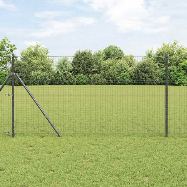Svetsat trådstängsel 5000 x 100 cm Grå
