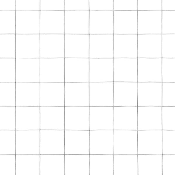 Hönsnät galvaniserat stål 10x0,5 m silver