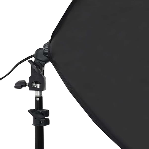 Professionella studiolampor 2 st 40x60 cm stål svart