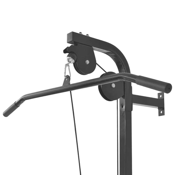 Väggmonterat power tower med viktskivor 40 kg