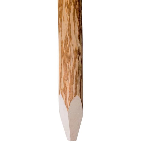 Staketstolpar spetsiga 4 st hasselträ 120 cm