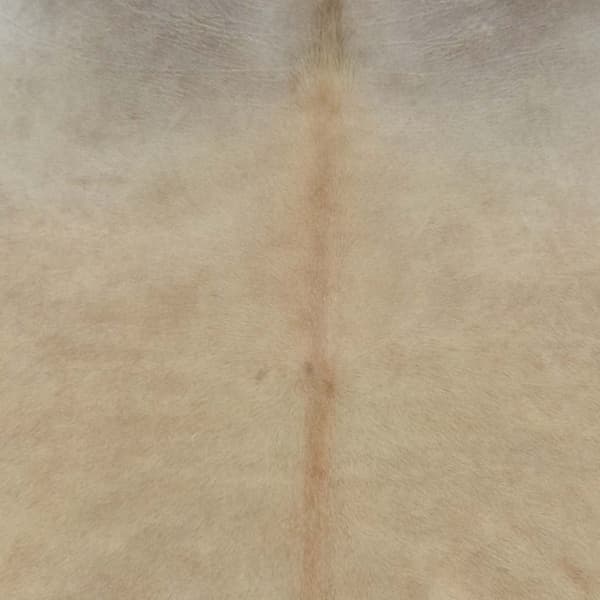 Matta äkta kohud 150x170 cm beige