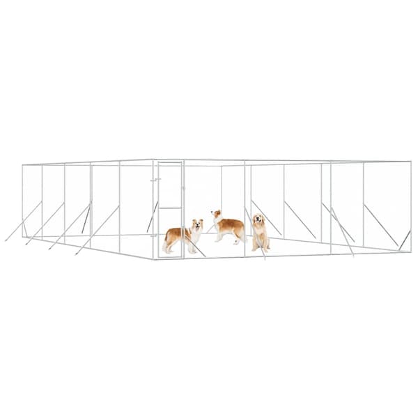 Hundgård för utomhusbruk silver 6x10x2 m galvaniserat stål