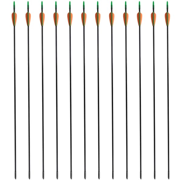 Pilar för recurvebåge 12 st 30" 0,6 cm glasfiber