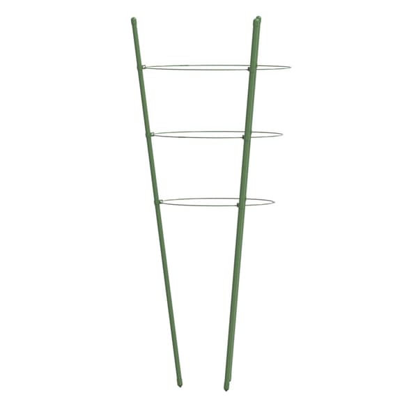 Växtstöd med 3 ringar 5 st grön 45 cm stål