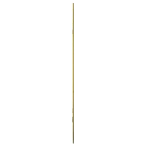 Väggspegel guld 80x50 cm