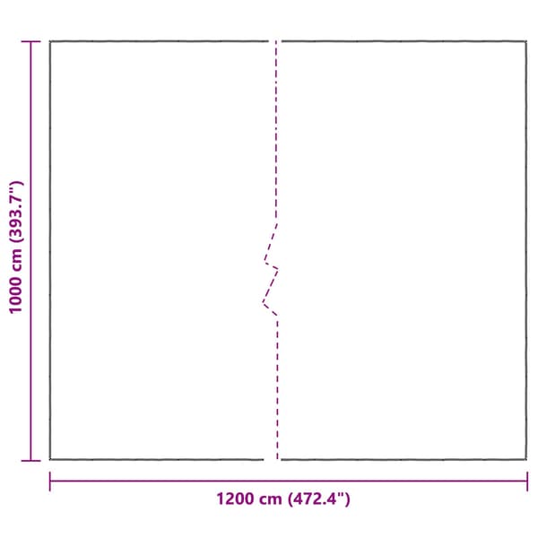 Växtskydd Transparent 10 x 12 m PE