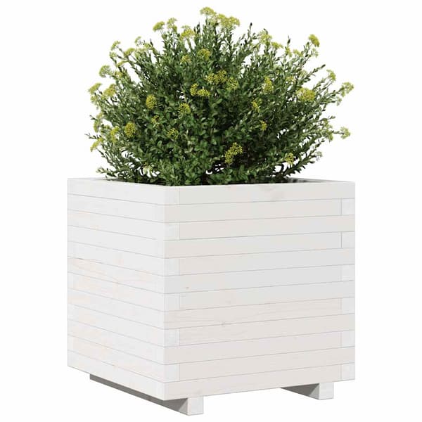 Odlingslåda vit 50x50x49,5 cm massiv furu