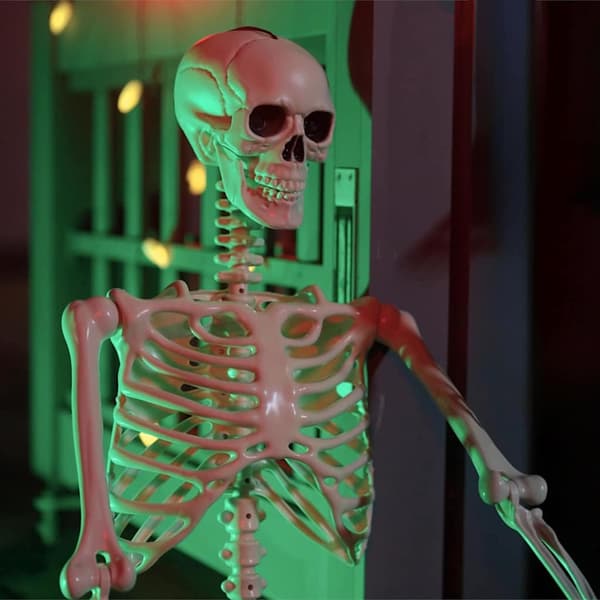Halloween skelett 2 pcs Vit 85 cm PVC