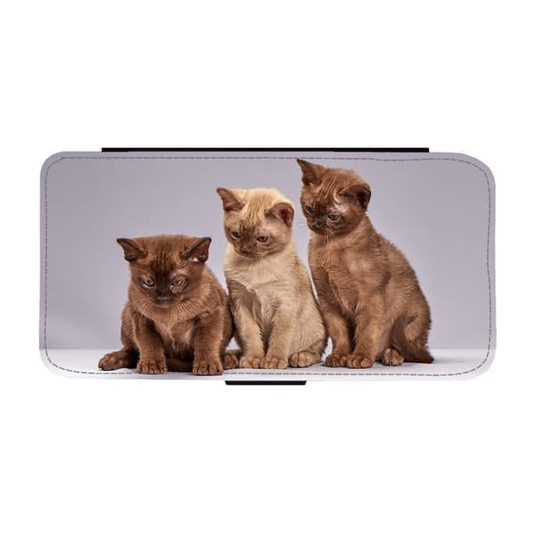 Til Samsung Galaxy S21: Funny Cats Flippetui