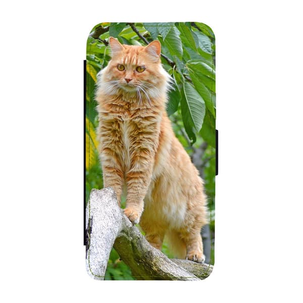 Til Samsung Galaxy S21: Maine Coon Cat Flippetui