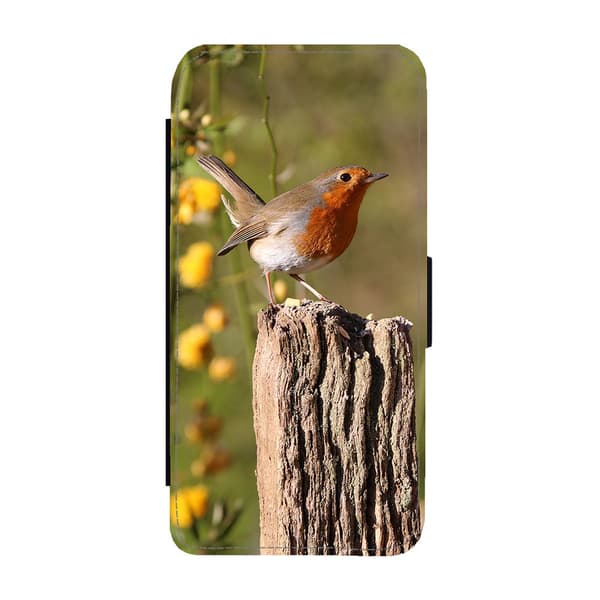 Til Samsung Galaxy S21 FE: Bird Robin Flippetui