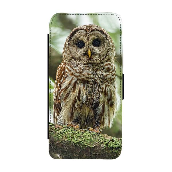 Til Apple iPhone 14 Pro: Owl Flippetui