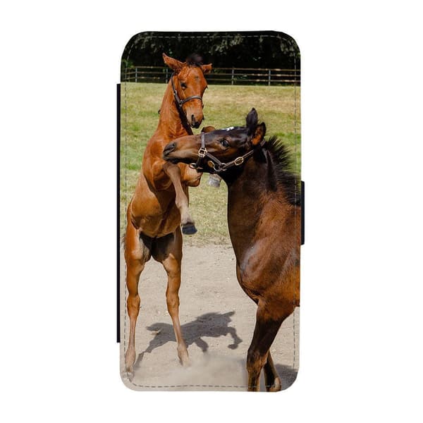Til Samsung Galaxy S21: Mare and Foal Flippetui
