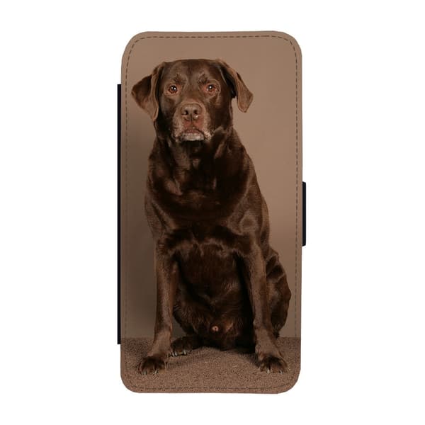 Til Samsung Galaxy S21: Brown Labrador Dog Flippetui