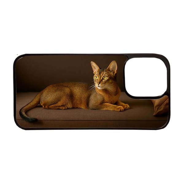 Til Apple iPhone 11, Abessinier Kat Mobilcover