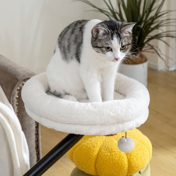 SONNENH Kattbädd, Polyester, Krämvit, 35 × 35 × 48 cm