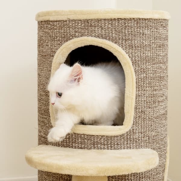 SONNENH Kradsestativ, Polyester, Beige / Brun, 60 × 60 × 61 cm