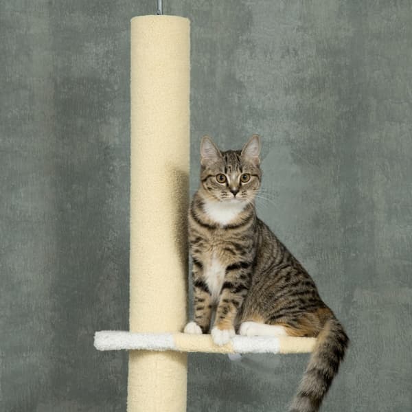 SONNENH Kradsestativ, Polyester, Gul, 47 × 34 × 260 cm