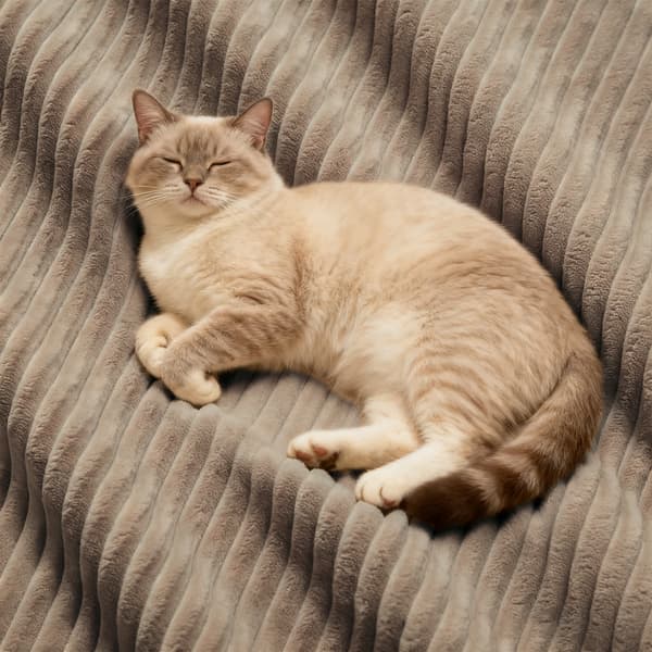 SONNENH Cloud Modular Sofa Boneless Sofa, Modular Corner Sofa, Overdimensioneret Modular Cloud Sofa, Komfortabel Corduroy Cloud Sofa Sofa