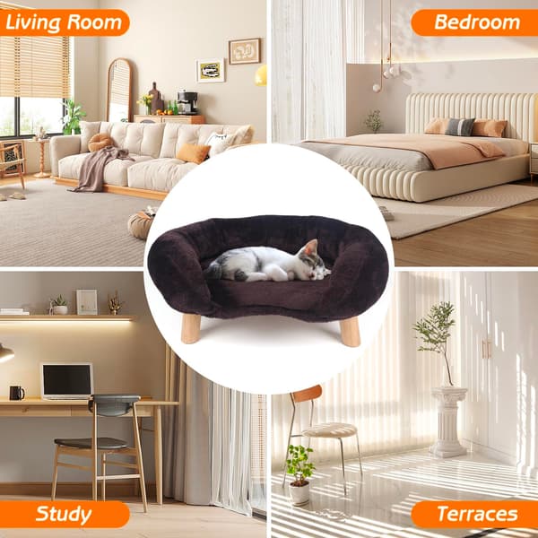 SONNENH XPT043 Brun kattsoffa Brun kattsoffa