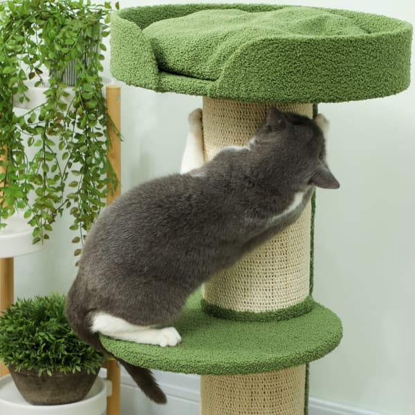 SONNENH Katte-træ 91 cm Legetræ med katte-seng, platform, lammeuld grøn