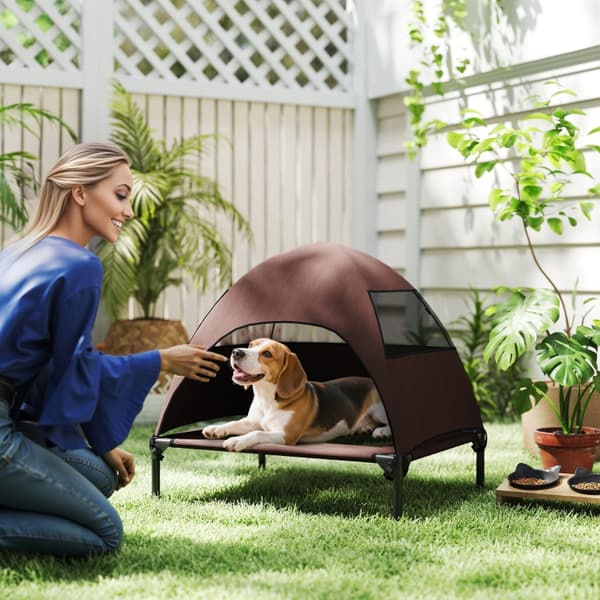 SONNENH Hundeseng, Polyester, Kaffebrun, 76 × 61 × 71 cm