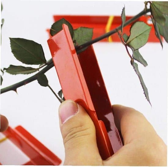 Rosen tornfjerner - blomsterhandler værktøj - højeffektiv tornfjerner - 14 cm lang