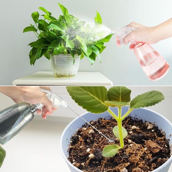 Påfyllningsbara sprayflaskor - 500 ml - 3 stycken - Transparent - Plast