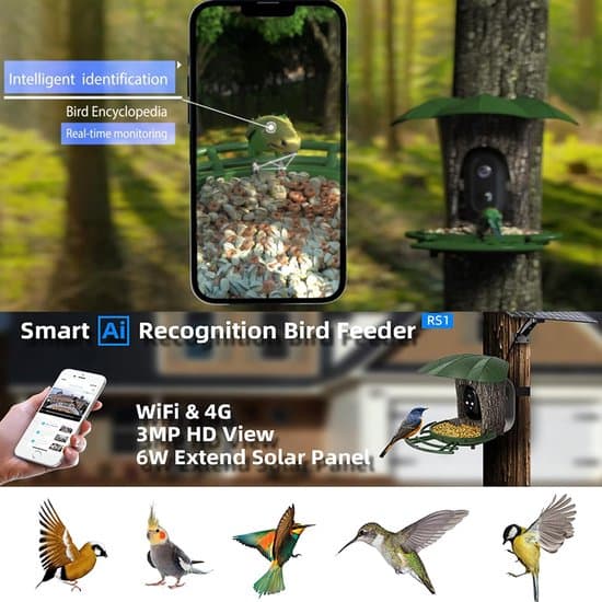 Smart fuglefoderbræt med kamera, 128 GB hukommelseskort, solpanel, 5200mAh batteri, AI-genkendelse, IP65.
