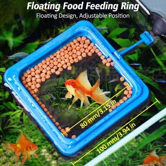 Automatisk fiskefoderautomat - 200 ml - Med stativ/klæbemiddel