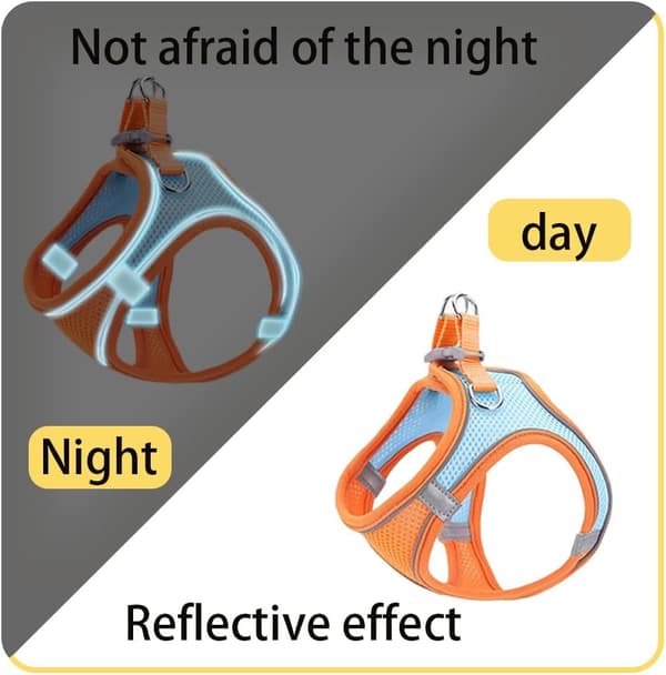 Snorvest til kæledyr - Orange - Brystomkreds 28-32cm