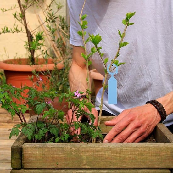 100-styks blå udendørs planteophængs- og mærkningsmærker
